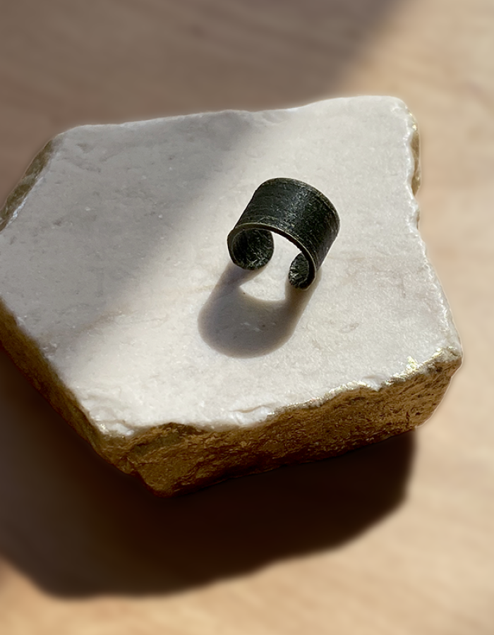 Alga mini